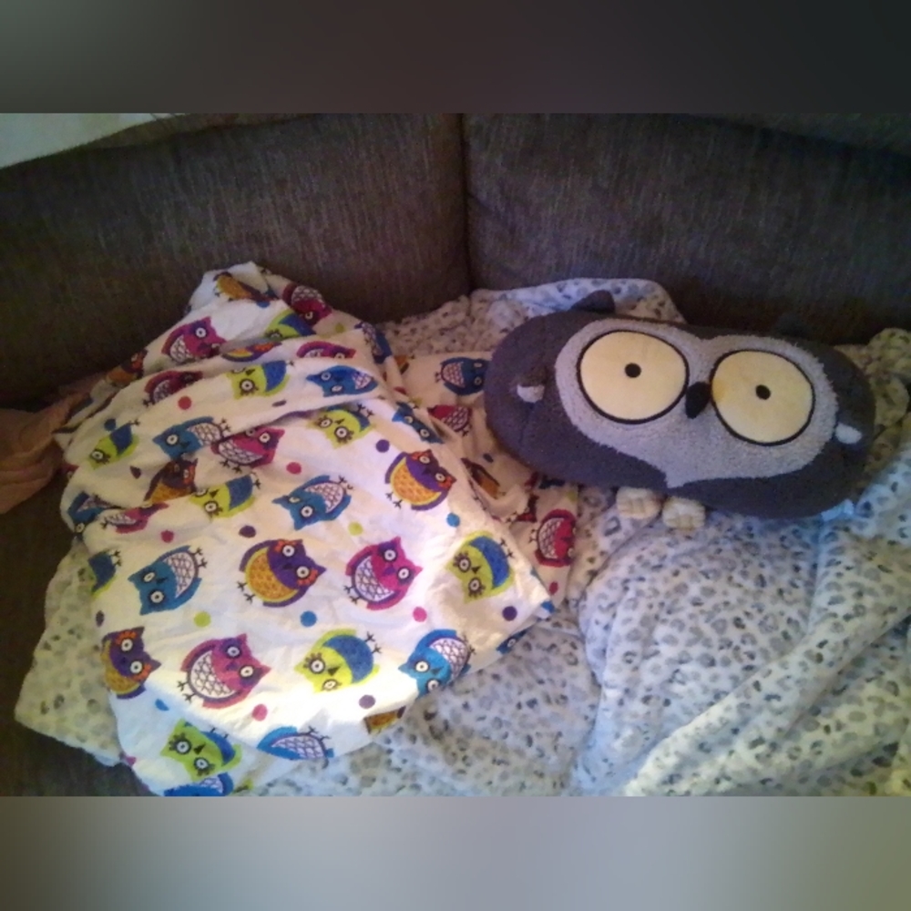 Owl pillow and sheet